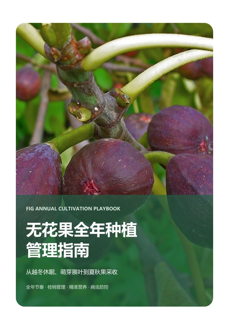 无花果全年种植管理指南封面